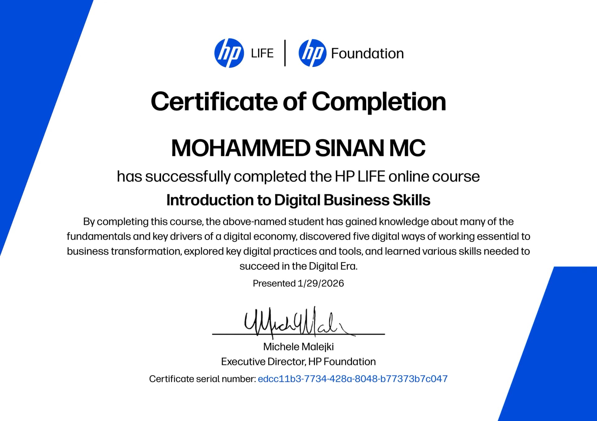 Freelance SEO Consultant in Malappuram - HP LIFE Marketing Strategy Certificate